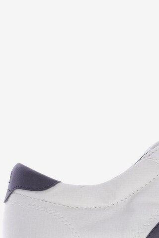 TOMMY HILFIGER Sneakers & Trainers in 41 in White