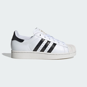 ADIDAS ORIGINALS Sneaker 'Superstar II' in Weiß