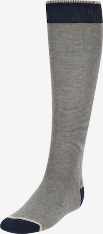 pilka Boggi Milano Kojinės: priekis