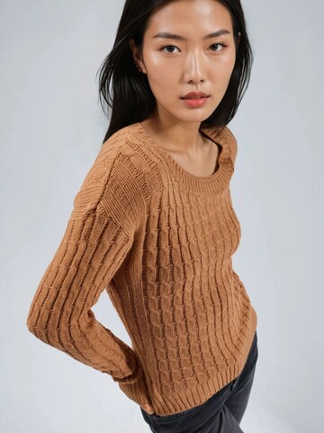 My fashion Sweater 'Pullover' in Brown: front