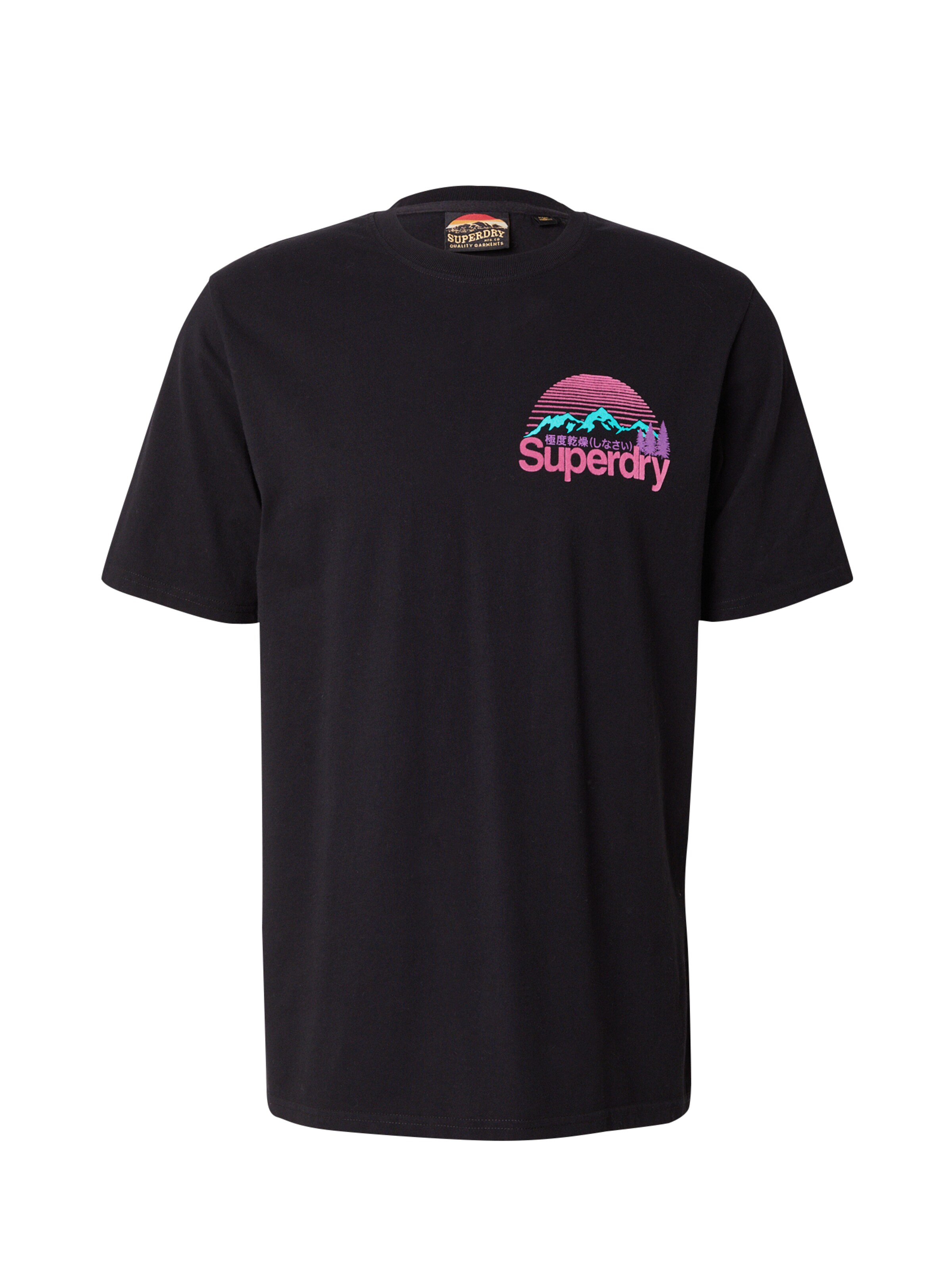 Maglietta 'Great Outdoors' di Superdry in nero: frontale