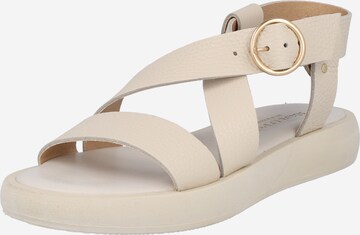 Marco polo flip flop - Die hochwertigsten Marco polo flip flop ausführlich verglichen