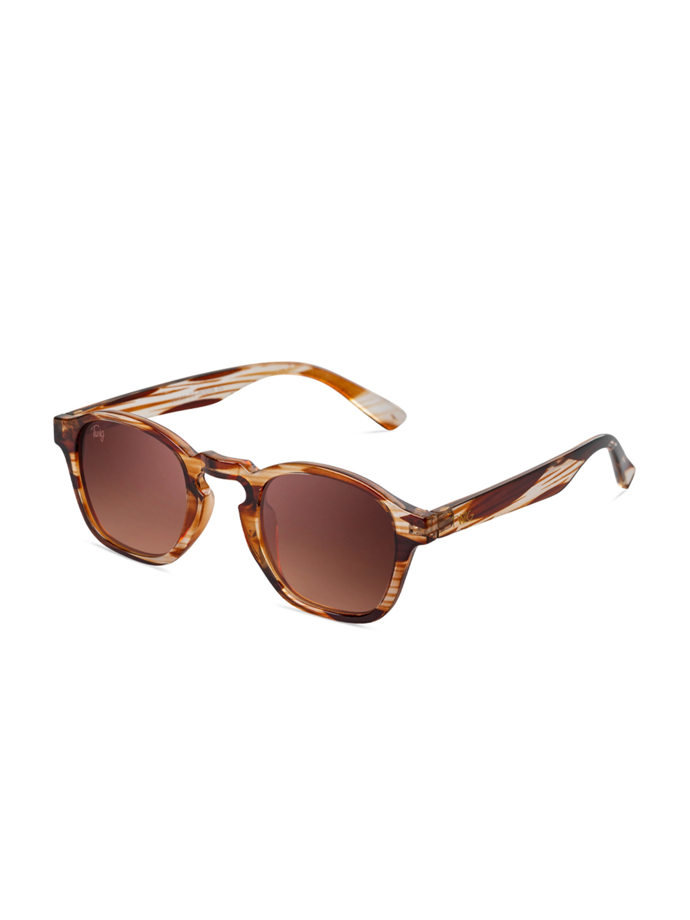 TWIG Concept Milano Sunglasses 'Rodin' in Brown