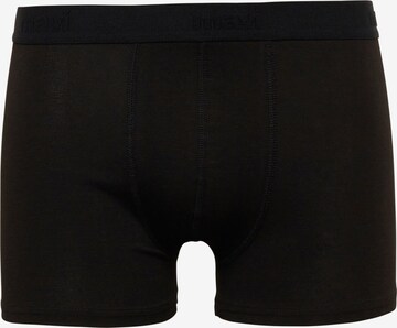 Mavi Boxershorts in Grau: predná strana