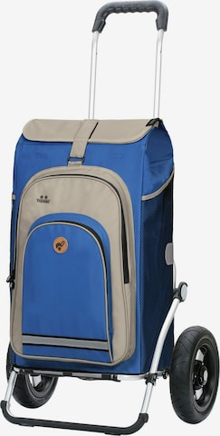 Trolley 'Hydro 2.0' di Andersen Shopper in blu: frontale