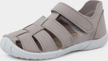 Pisamonas Buty dziecięce w kolorze szary: przód