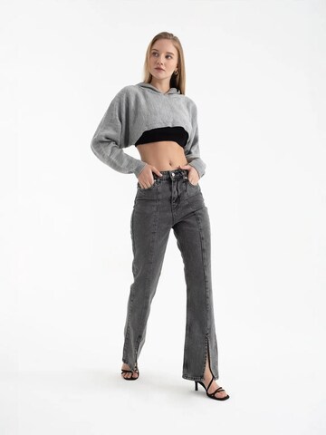 Pullover di Hiccup in grigio