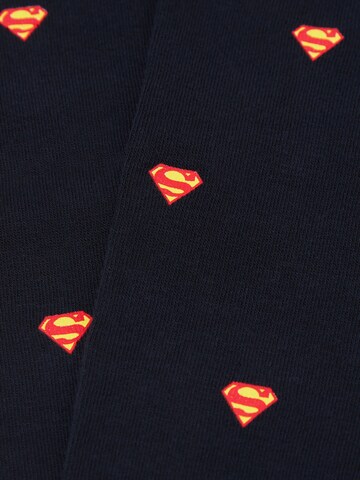 INTIMISSIMI Socks 'Comics Superman' in Black