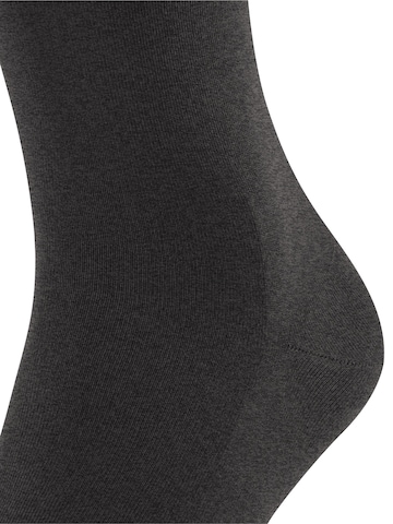 FALKE Socken 'ClimaWool'‌‌‌‌‌‌‌‌‌ in Grau
