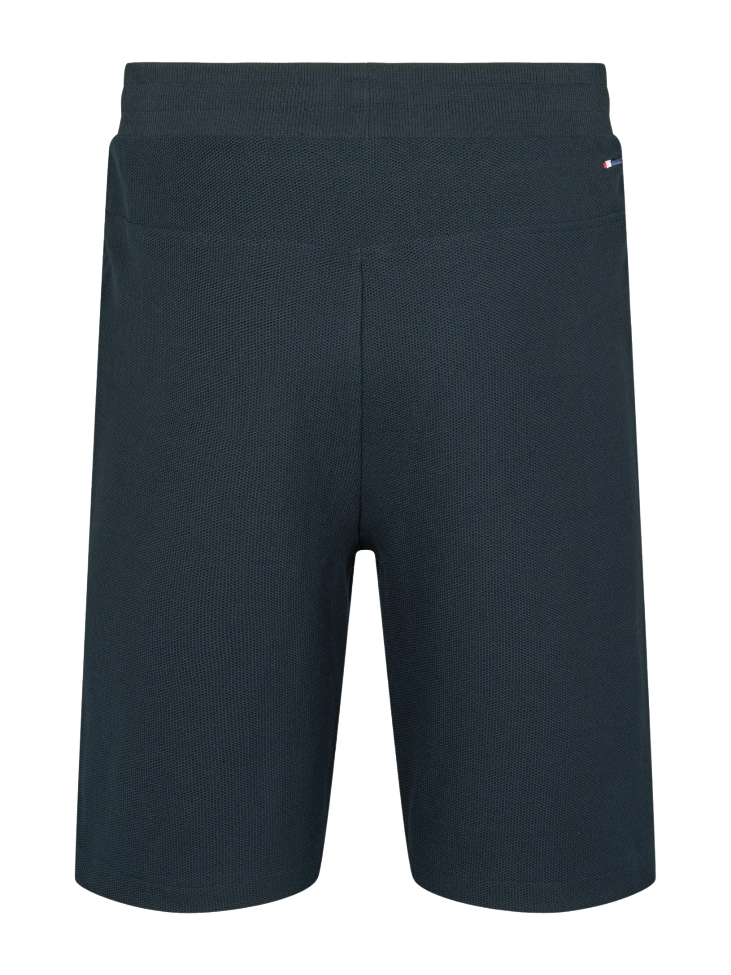 U.S. POLO ASSN. Regular Trousers 'UMMalik' in Blue