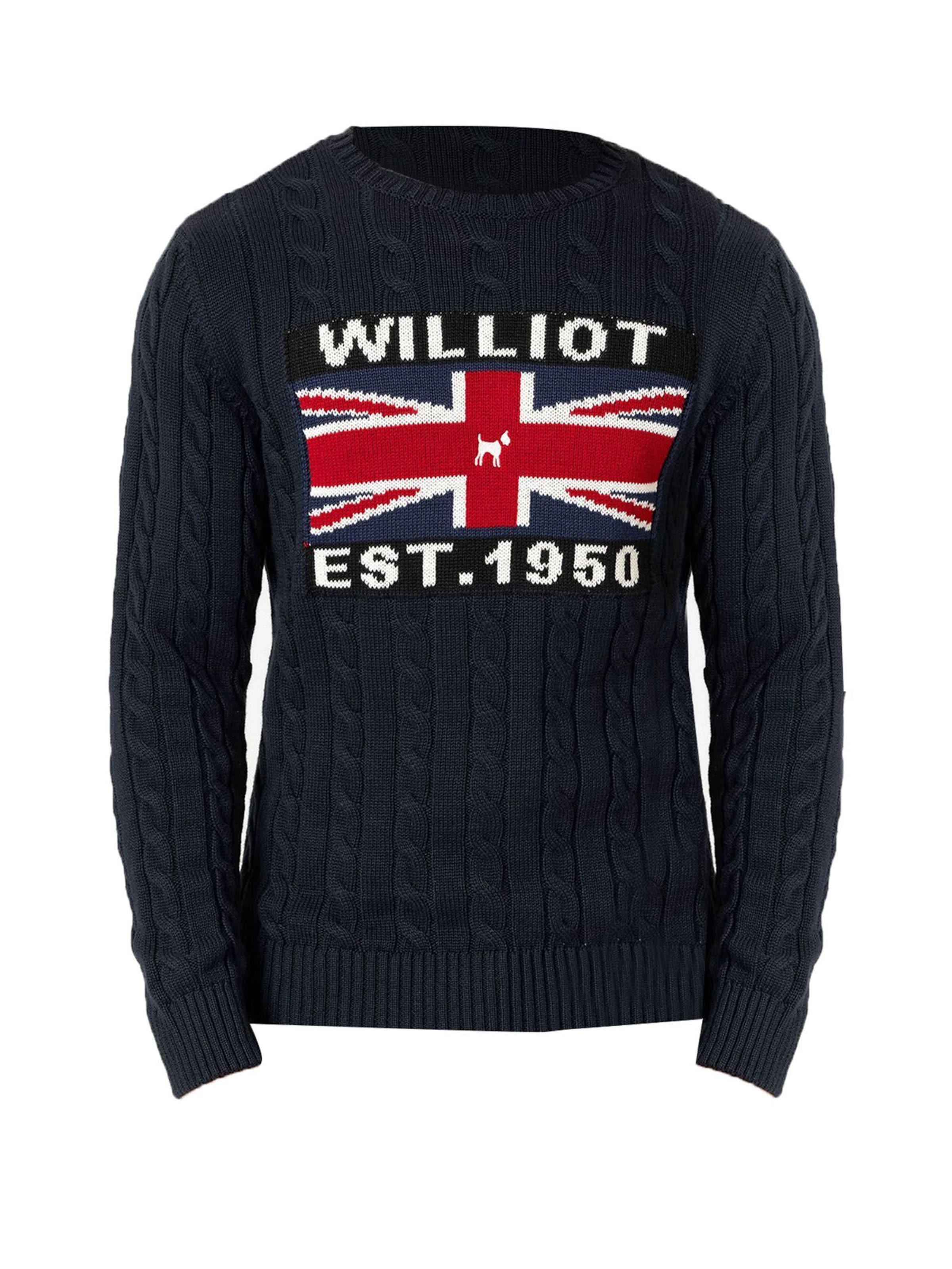 Williot Sweater in Blue: front