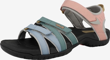 Sandales de randonnée 'Tirra' TEVA en mélange de couleurs : devant