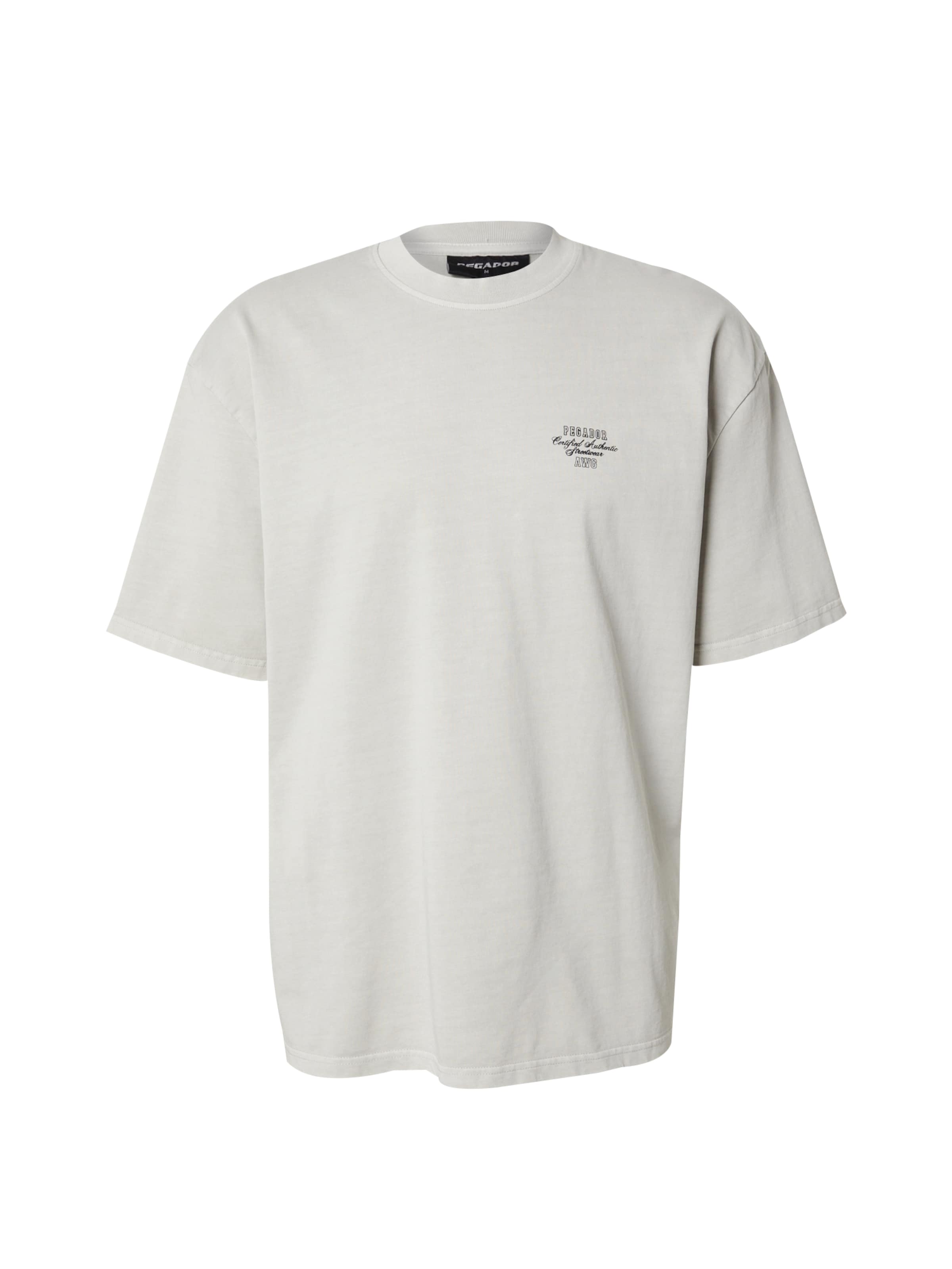 Maglietta 'SYDON' di Pegador in grigio: frontale