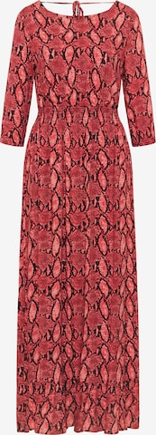 faina Dress in Red: front