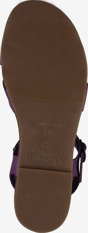 Sandales COSMOS COMFORT en violet