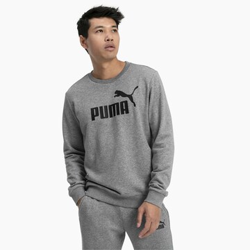 pelēks PUMA Sportisks džemperis: no priekšpuses