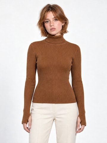 RYVAN Svetr 'Pullover' – hnědá