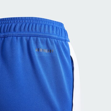 ADIDAS PERFORMANCE Regular Sports trousers 'Pitch 2 Street Messi' in Blue