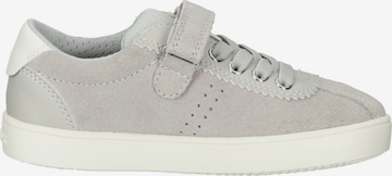 Baskets GEOX en gris