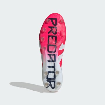 ADIDAS PERFORMANCE Soccer shoe 'Predator Elite' in Red