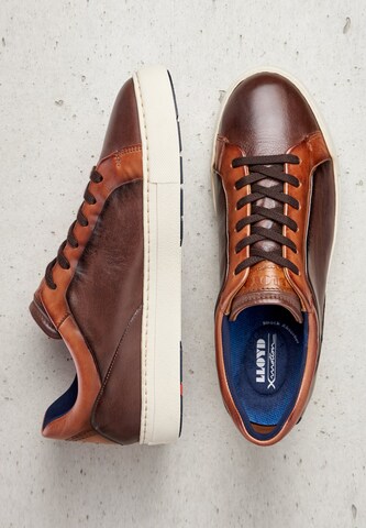 LLOYD Sneakers 'MARLON' in Brown