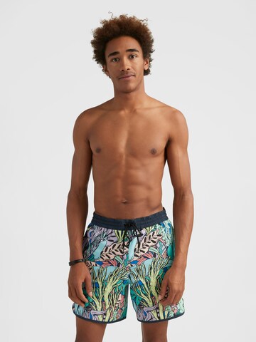 O'NEILL Swim Trunks in Blue