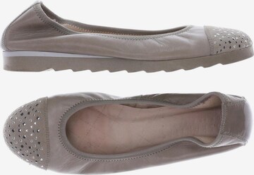 Hispanitas Ballerina 40 in Beige: predná strana