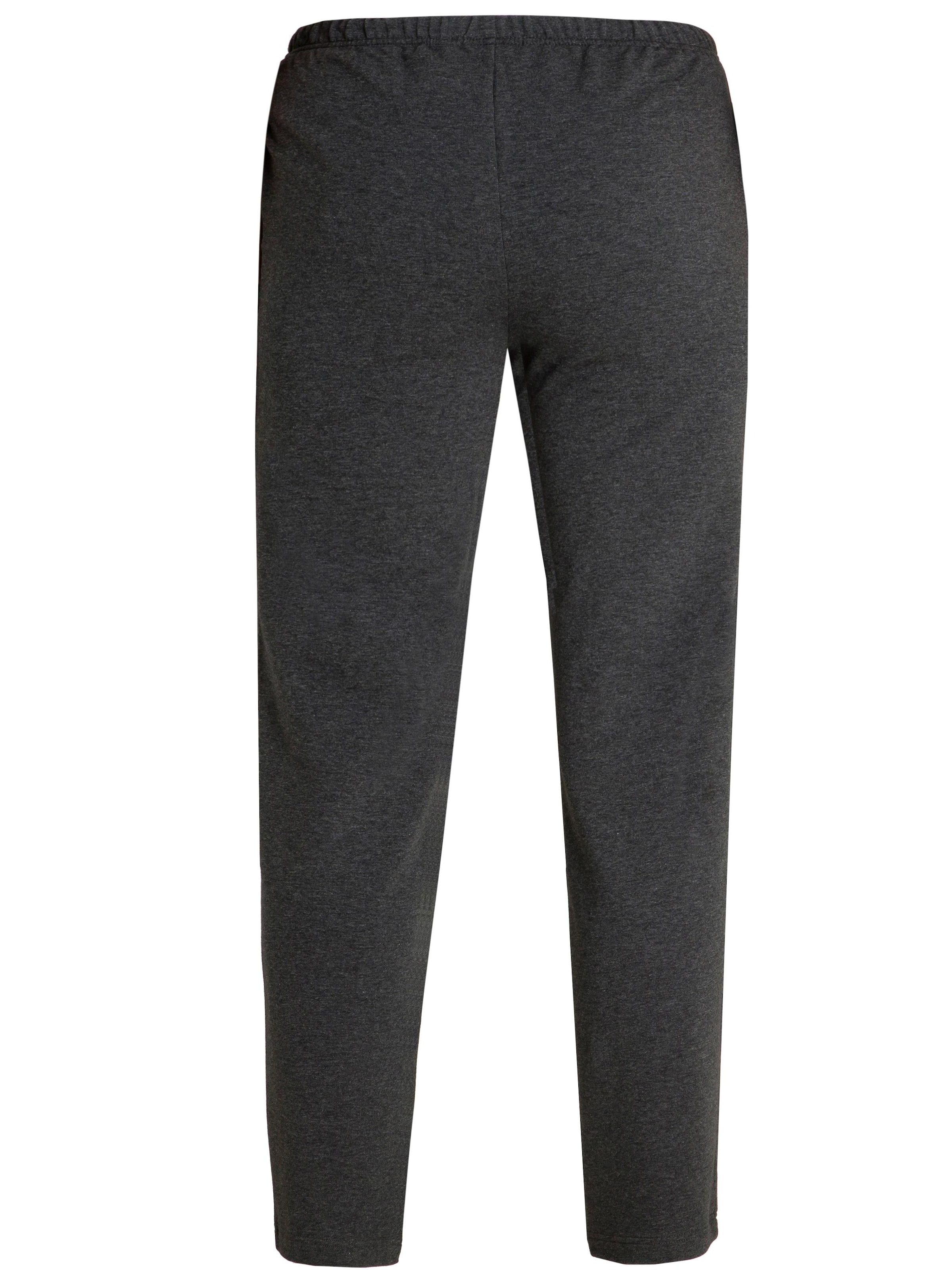 HAJO Regular Pants 'Sweathose' in Grey