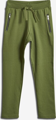 SOMETIME SOON Regular Pants 'Anton' in Green: front