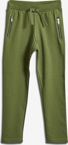 SOMETIME SOON Regular Trousers 'Anton' in Green: front