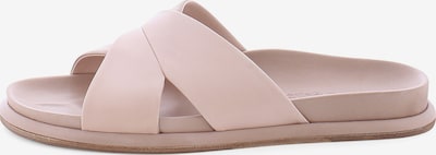 Kennel & Schmenger Pantolette ' AILY ' in 35,5 in rosa, Produktansicht