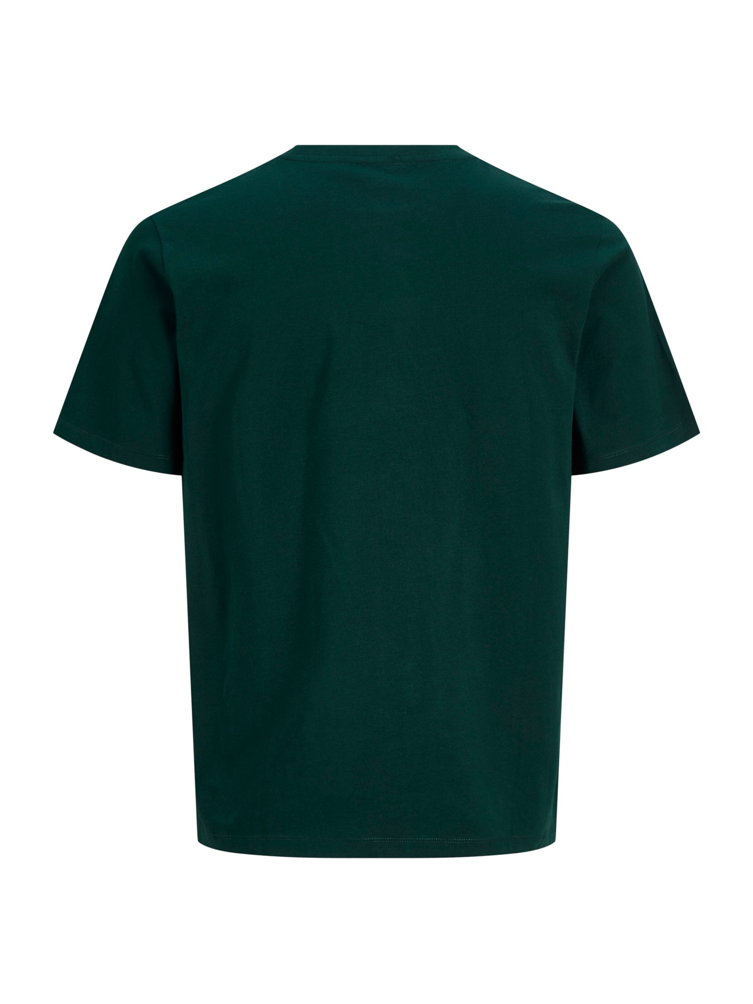 Jack & Jones Plus Тениска 'JPRBLUZANDER' в зелено