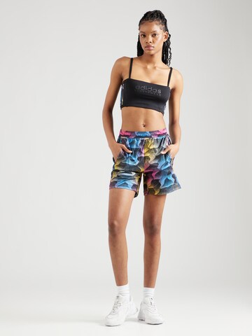 Regular Pantalon de sport 'Tiro Q2' ADIDAS SPORTSWEAR en mélange de couleurs