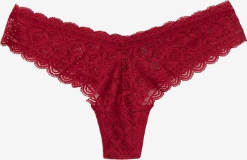 INTIMISSIMI Thong in Red: front