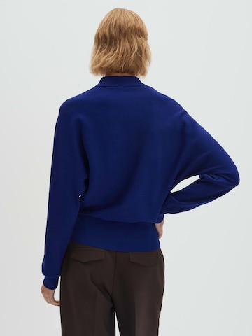 Someday Neulepaita 'Tineki' värissä sininen