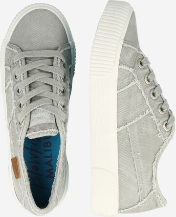 Sneaker bassa 'Casper' di Blowfish Malibu in grigio