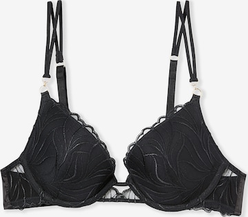 Push-up Reggiseno 'Envolee' di ETAM in grigio: frontale