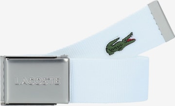 Cintura di LACOSTE in bianco