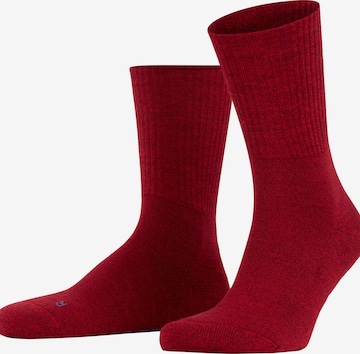 FALKE Socks 'Walkie Light' in Red: front