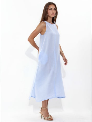 Hiccup Kleid in Blau