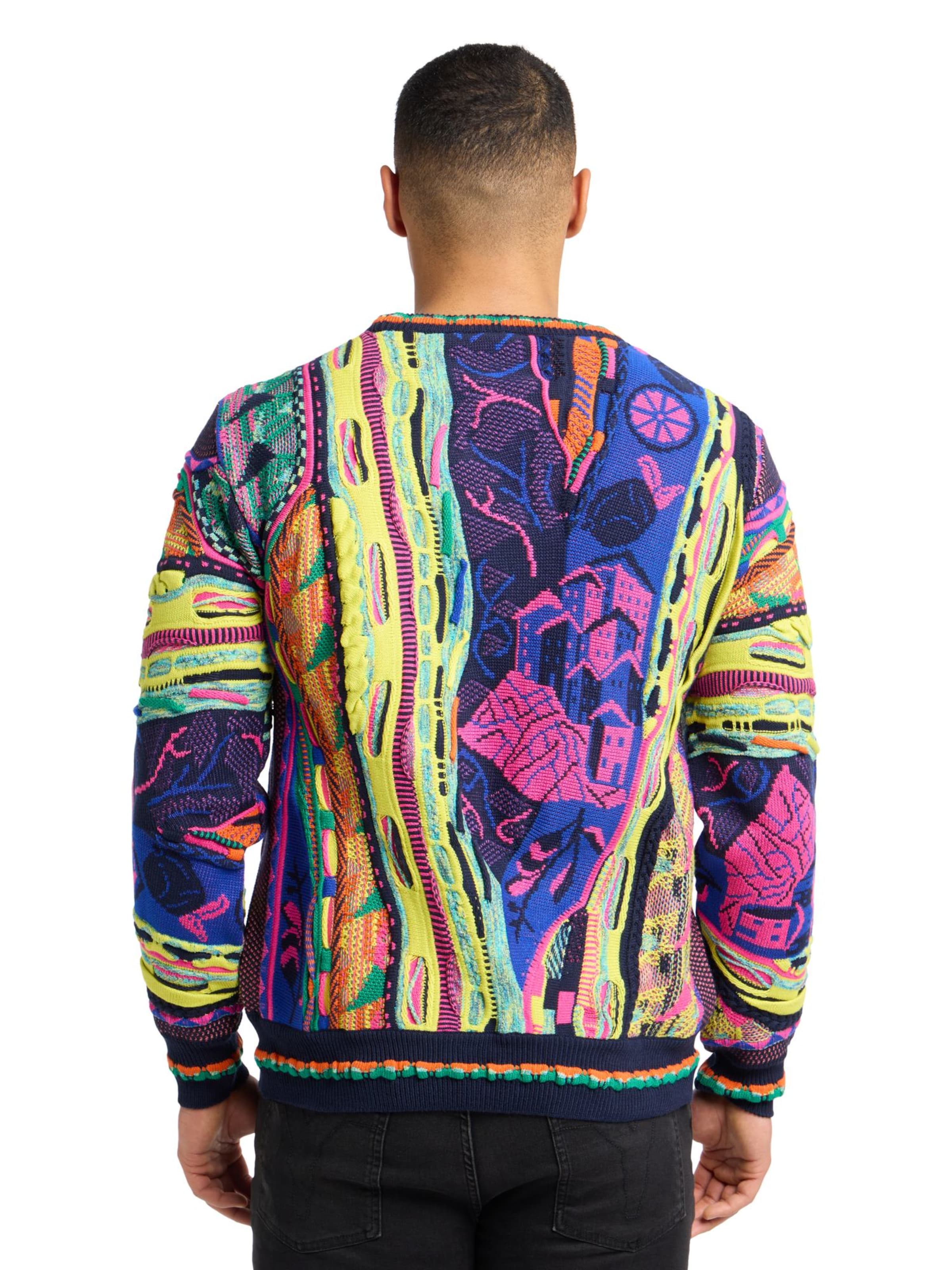 Carlo Colucci Pullover 'Eberhoefer' in Mischfarben