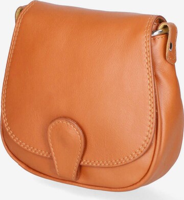 Gave Lux Crossbody Bag in Brown: front