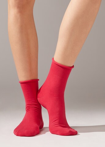 CALZEDONIA Socken in Rot: Vorderseite