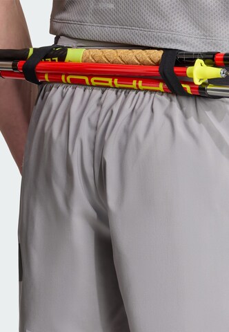 ADIDAS TERREX - regular Pantalón de montaña 'Xperior' en gris