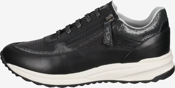 GEOX Sneakers 'Airell' in Black