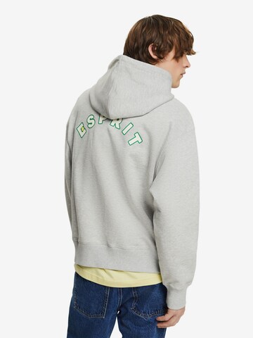 ESPRIT Sweatshirt in Grijs