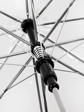 Maxte Umbrella in Transparent