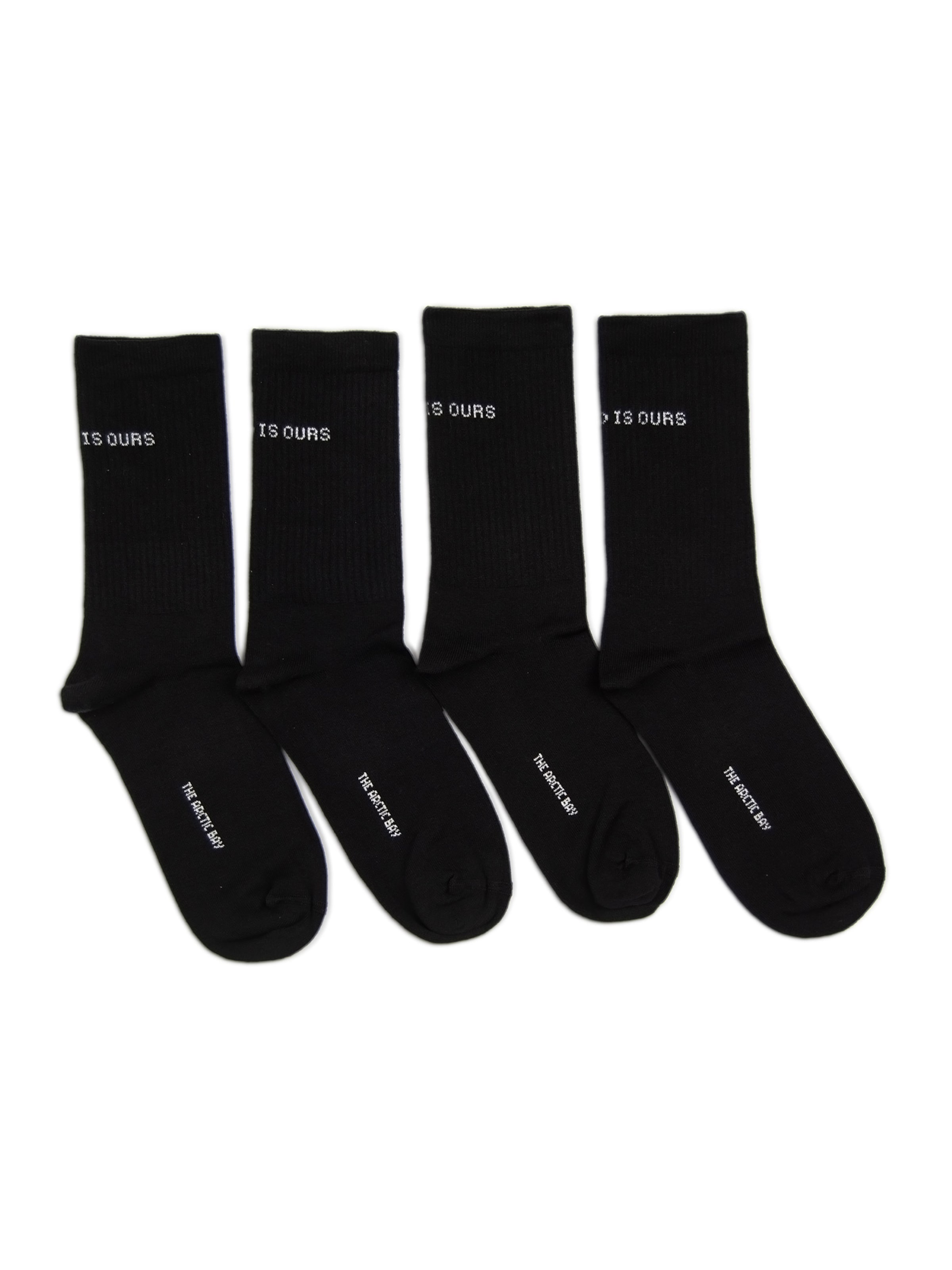 Chaussettes 'WORLD IS EDITION Gift box 4 Pack Unisex' The Arctic Bay en noir : devant