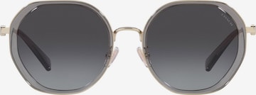 COACH Solbriller i grå