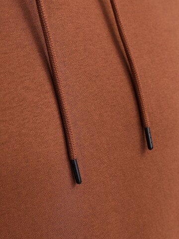 JACK & JONES Sweatshirt 'JJEStar' in Braun